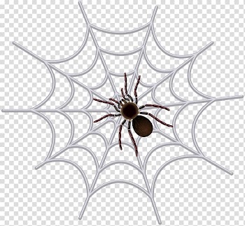 Black spider on white web illustration, Spider web , Spider Web transparent background PNG clipart