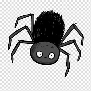Black spider , Southern black widow Spider, spider transparent background PNG clipart