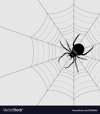 Black spider vector image