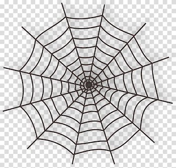 Black spider web , Spider web Cartoon , Halloween cobwebs transparent background PNG clipart