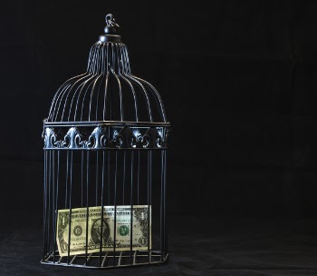 Black Steel Pet Cage With One Dollar 