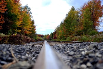 Black Steel Train Rail With Pebbles and Trees