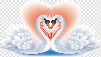 Black swan Bird Heart , Swan pattern transparent background PNG clipart