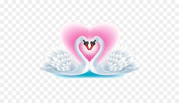 Black swan Bird The Ugly Duckling Clip art - Romantic White Swan in pairs 