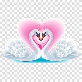 Black swan Bird The Ugly Duckling , Romantic White Swan in pairs transparent background PNG clipart