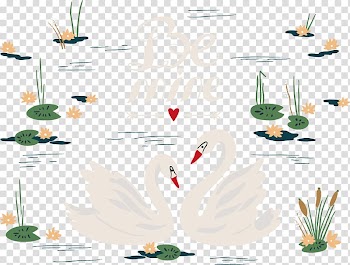 Black swan Illustration, White Swan transparent background PNG clipart