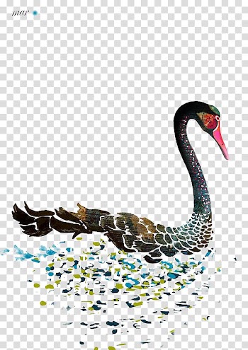Black swan T-shirt Watercolor painting, Painted Swan transparent background PNG clipart