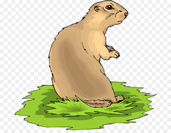 Black-tailed prairie dog Black-tailed prairie dog Clip art - dog ...