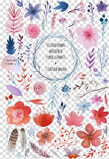 Black text on floral backgorund, Adobe Illustrator Flower, Watercolor flowers transparent background PNG clipart