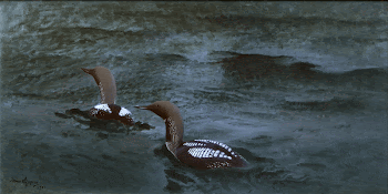 Black-throated Divers (1901) painting in high | Free Photo - rawpixel