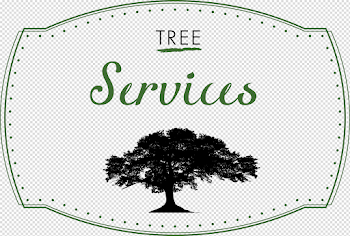 Black Tie Tree Services | Sarasota, FL