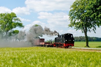 Black Train Near Tree