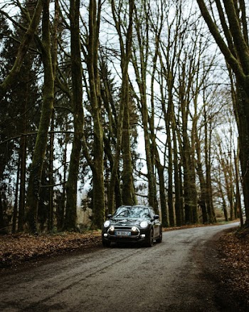 Black Vehicle Parked On Road Between Trees