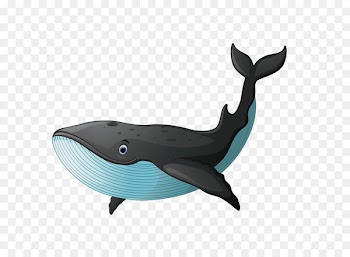Black whale 