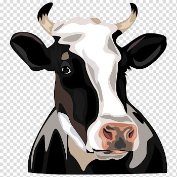 Black, white, and brown cow illustration, Holstein Friesian cattle , Cow Head transparent background PNG clipart