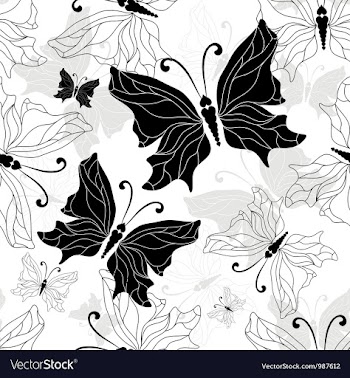 Black white butterfly vector image