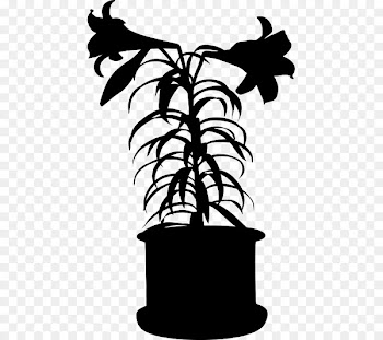 Black White M, Character, Flower, Blackandwhite, Leaf PNG