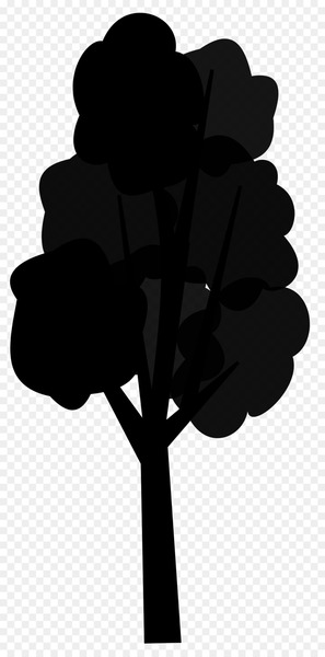 Black White M, Leaf, Silhouette PNG