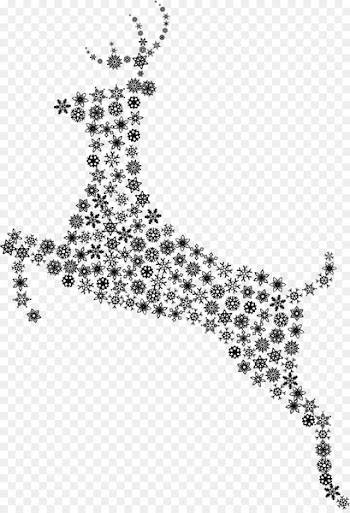 Black White M, Mammal, Point, Body Jewelry, Jewellery PNG
