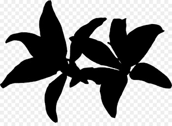 Black White M, Silhouette, Leaf, Black PNG