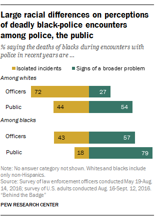 Black, white police officers differ in views on key issues of job ...