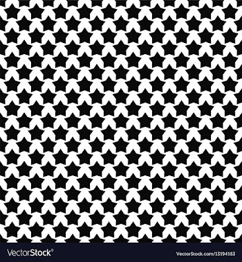 Black white star pattern background vector image