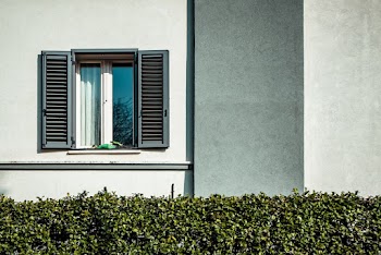 Black Window and Green Plants
