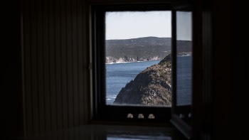 Black Windowpane
