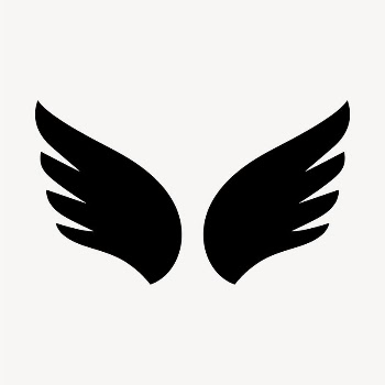 Black wing icon, flat graphic | Free Icons - rawpixel