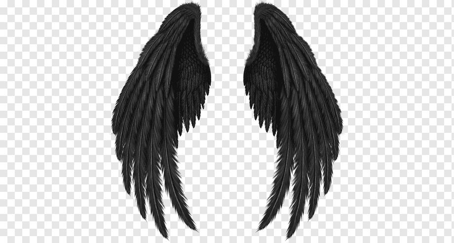 black wings,, others, ink, wings, sticker png