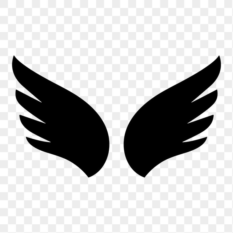 Black wings png icon sticker, | Free Icons - rawpixel