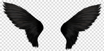 Black Wings Png, png collections at sccpre.cat