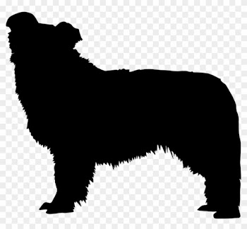 Black Wolf No Background Clipart Dog Breed Border Collie - Black Wolf No Background Clipart Dog Breed Border Collie
