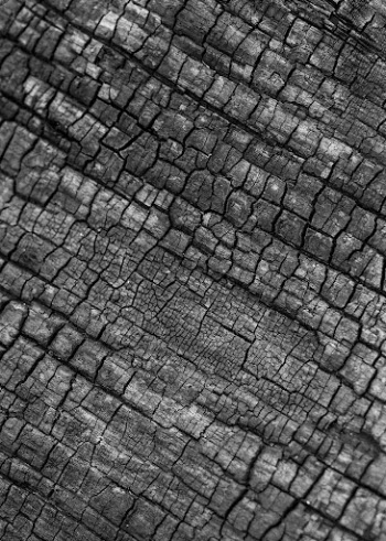 Black wood, charcoal texture background | Free Photo - rawpixel