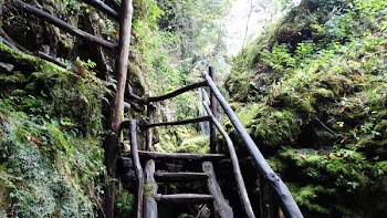 Black Wood Stairs Going to Waterfall during Daytime