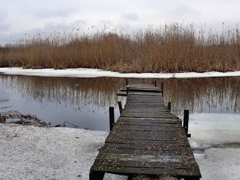 Black Wooden Dock on Riverside