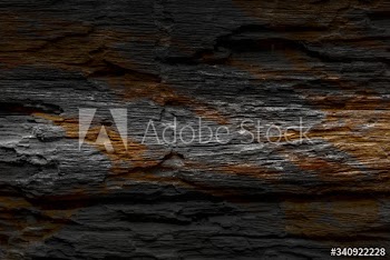 Black wooden plank background