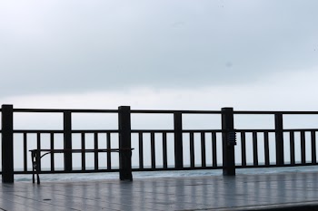 Black Wooden Railings
