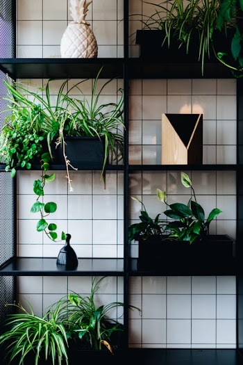 Black Wooden Shelves