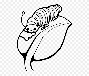 Black, Worm, Outline, Leaf, White, Cartoon, Caterpillar - Caterpillar On A Leaf