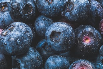 Blackberries in Macro Photography