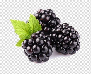 Blackberry , Blackberry Fruit Blueberry Ripening, Blackberry Fruit Free transparent background PNG clipart