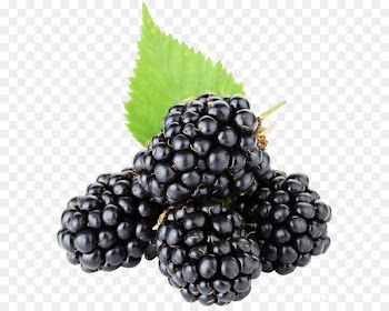 BlackBerry Electronic cigarette aerosol and liquid - Blackberry PNG 