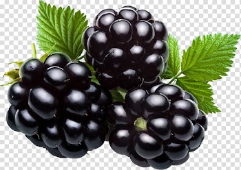 Blackberry Fruit , blackberry transparent background PNG clipart