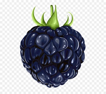 Blackberry Fruit Clip art - Blackberry Fruit PNG Clipart 