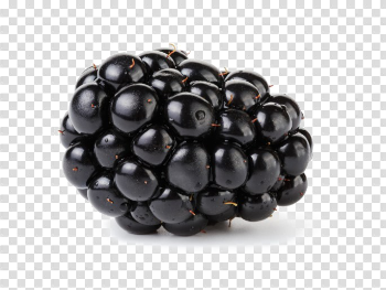 Blackberry Fruit Transparent