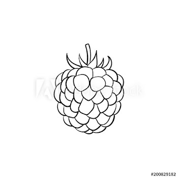 Blackberry hand drawn outline doodle icon