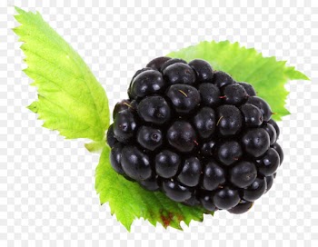 BlackBerry KeyOne BlackBerry Z10 Portable Network Graphics BlackBerry Limited Clip art - blackberry 