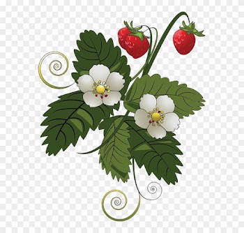 Blackberry Vine Cliparts 22, - Strawberry Tree Clip Art