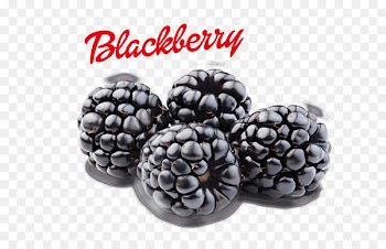 Blackberry Z10, Blackberry, Fruit, Berry PNG